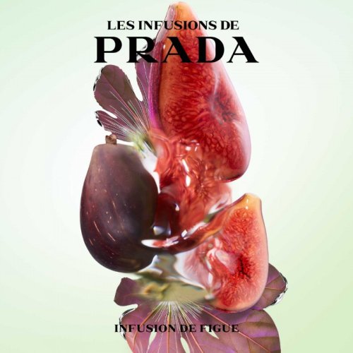 PRADA PARFUM Infusion de Figue - Eau de Parfum 3614273906678 PRADA PARFUM Infusion de Figue - Eau de Parfum 3614273906678